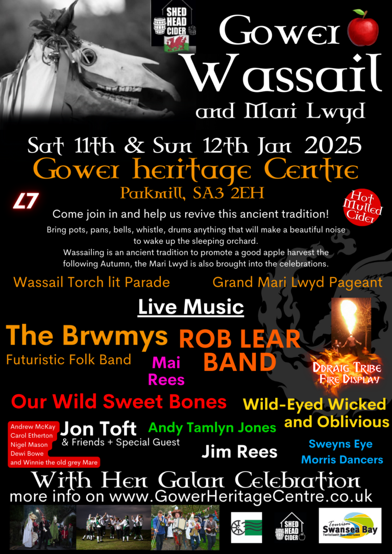 Gower Wassail & Hen Galan Celebration (1)
