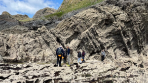 Screenshot 2025-02-14 115222