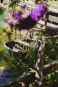 13f4a876-20c4-4573-9578-8d0335f63c86