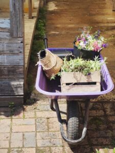 bf9b1158-05fb-439e-9e82-c65d2286b256